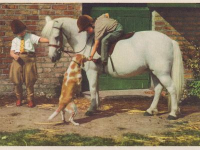 Vintage postcard: Happy Companions, UK, 1960