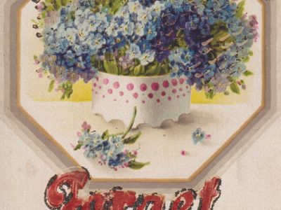 Vintage postcard: Forget Me Not