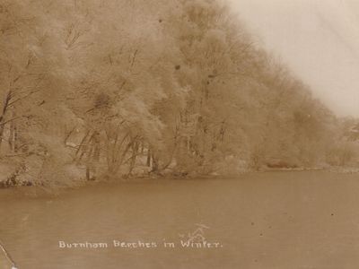Vintage postcard: Burnham Beeches, UK, 1917